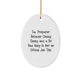 Funny Tax Preparer Oval Ornament Gifts from Friends for Men Women Coworkers Family - Classy Sassy And A Bit Fearlessy Is Not An Official Job Title Christmas Unique Gifts - Image 1